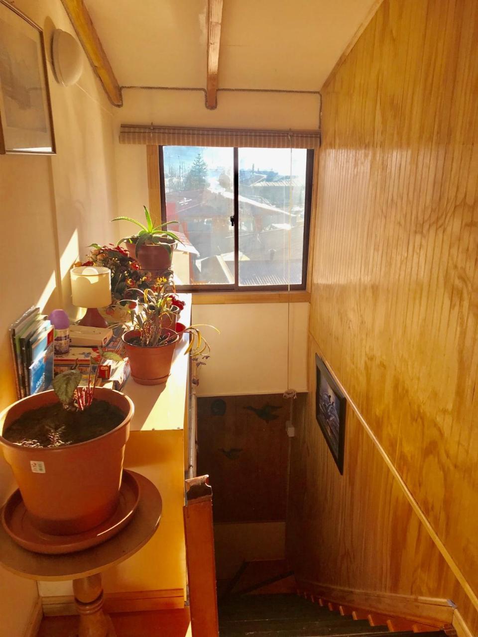 Hostal Patagonia Marmol Coyhaique Extérieur photo